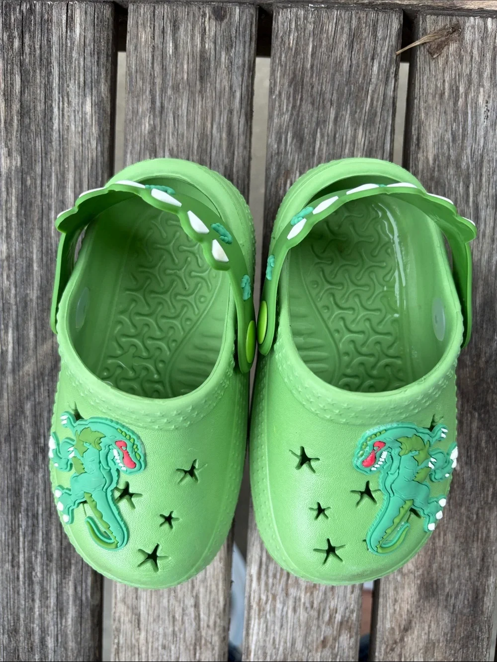 Croc Like  Sandals For Kids with Dino Accent Size 7/8